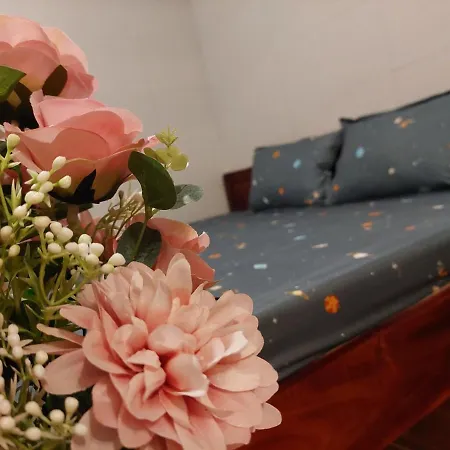 Alley Homestay Hanoi Exterior photo