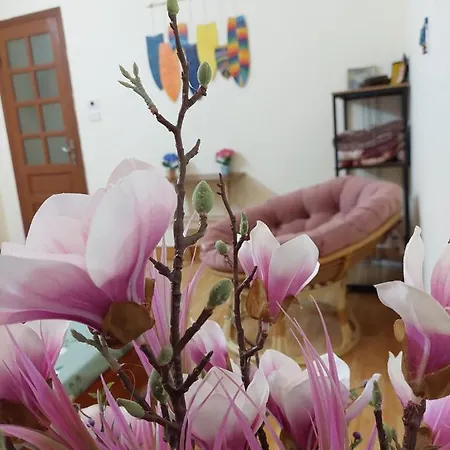 Alley Homestay Hanoi Exterior photo