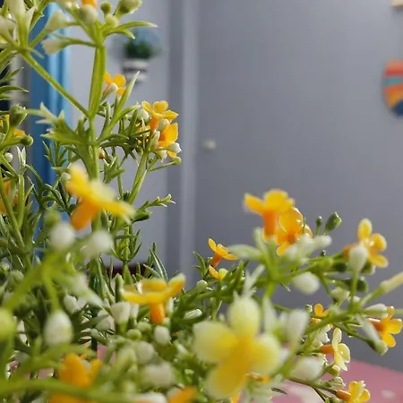 Alley Homestay Hanoi Exterior photo