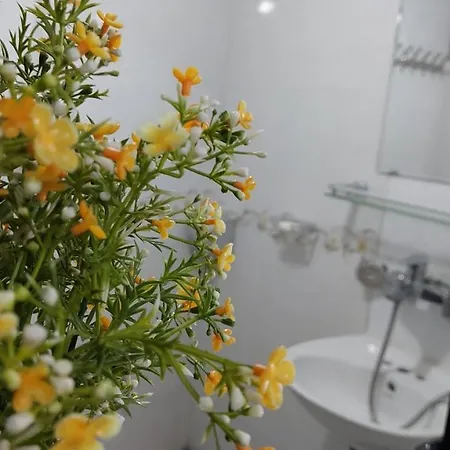 Alley Homestay Hanoi Exterior photo