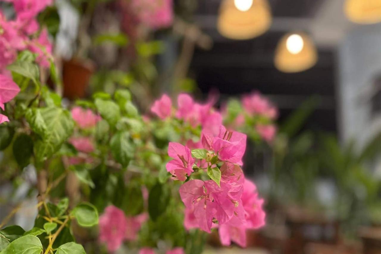 Homestay Alley Hanoi