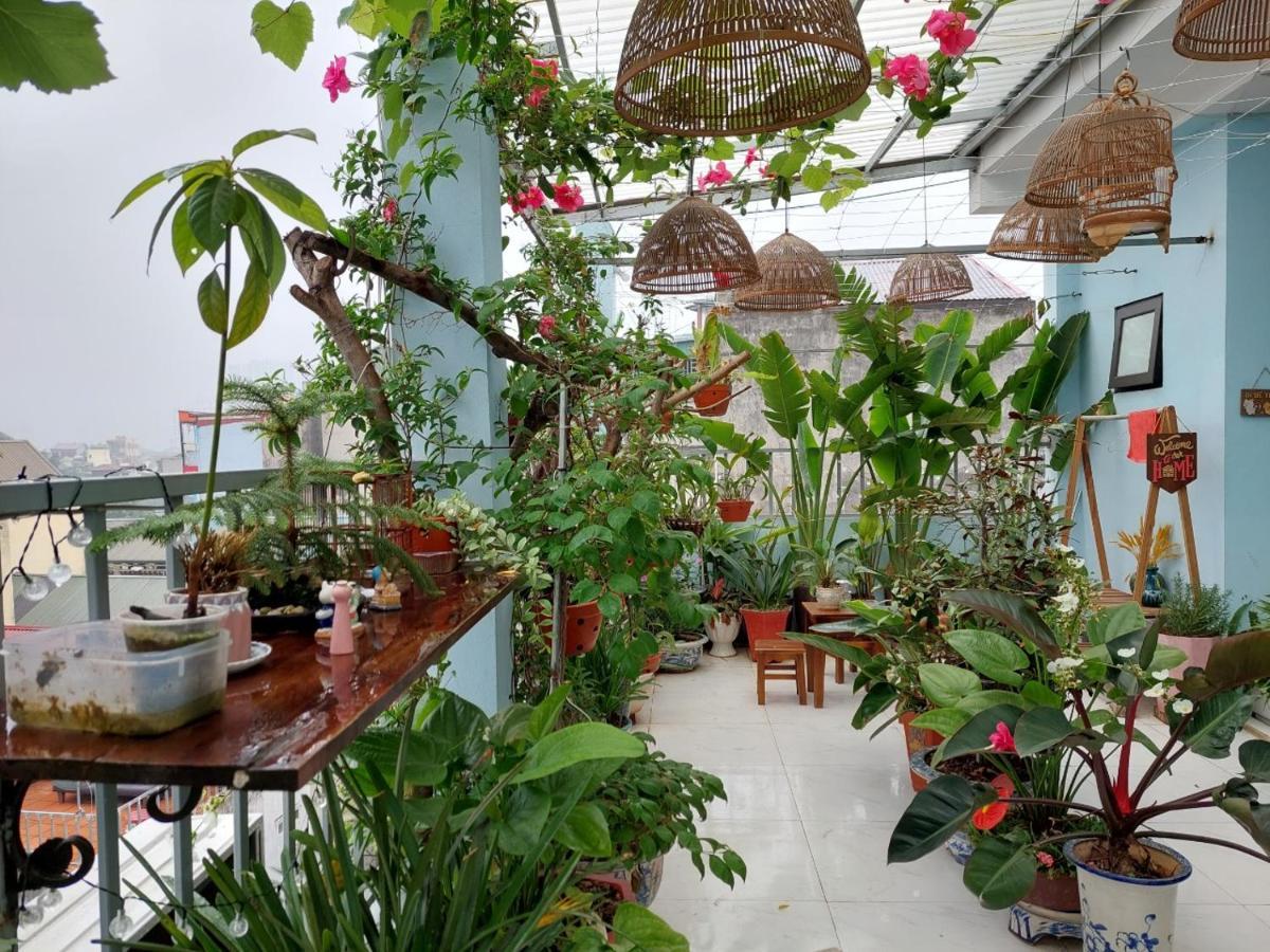 Alley Homestay *